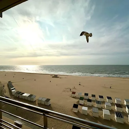 K Sunrise 아파트 *